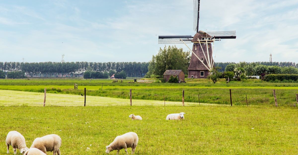 Film & Commercial Production Company Netherlands Mbrella Films