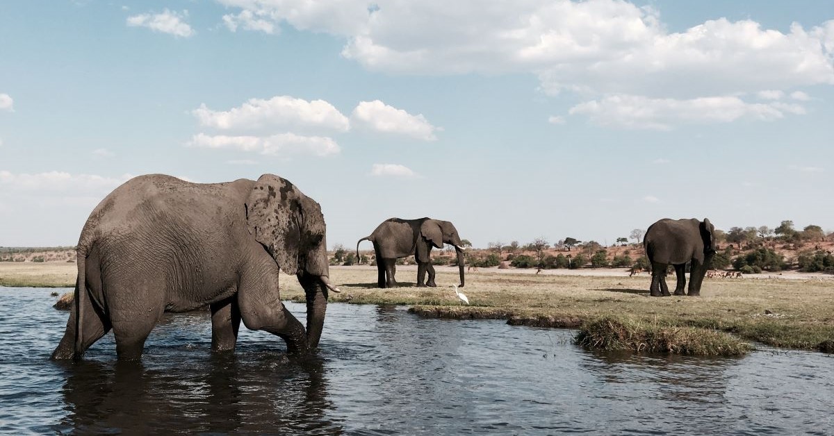 Film & Commercial Production Company Botswana | Mbrella Films