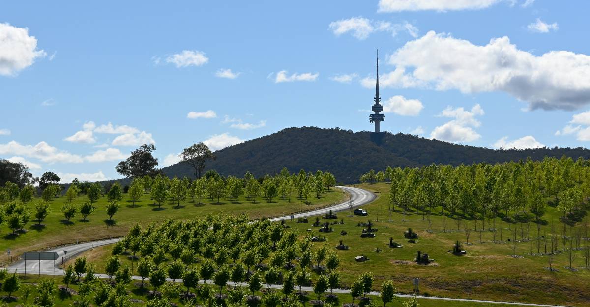 The National Arboretum Canberra 