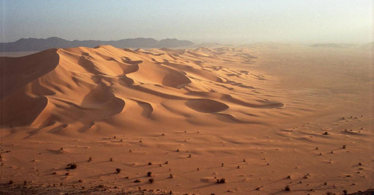 The Ténéré Desert