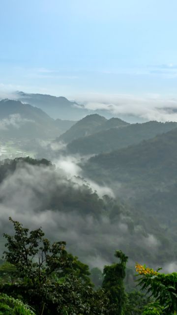 Mountains